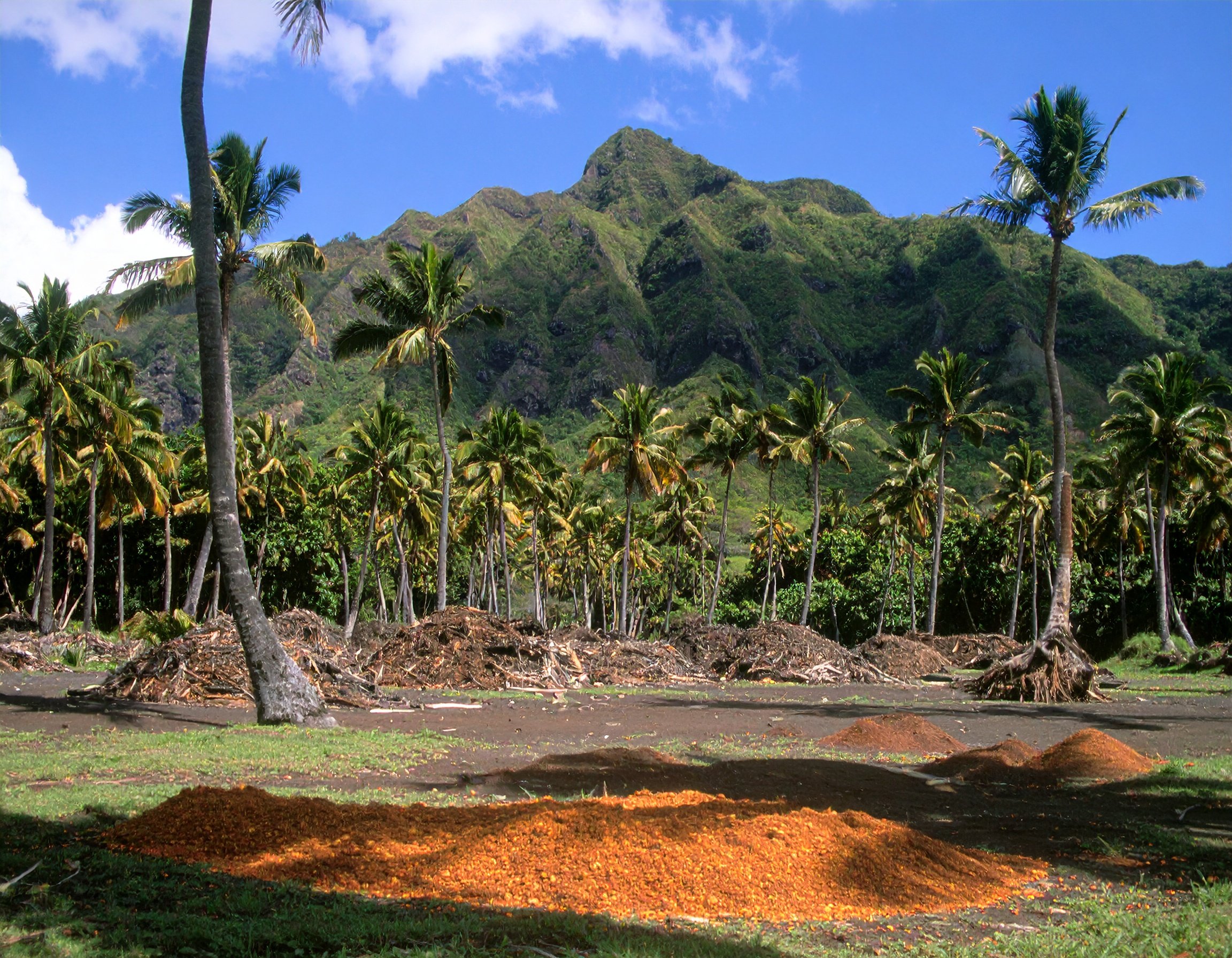 Attack - ½ lb. — Aloha Organic
